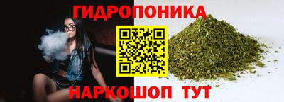 соль ск Кингисепп